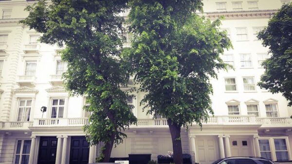 London Leinster Gardens Fake House Bäume