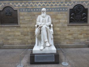 Charles Darwin wacht über die Eingangshalle des Museums