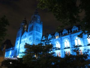 The Natural History Museum illuminated in blue for the opening of whale exhibition
