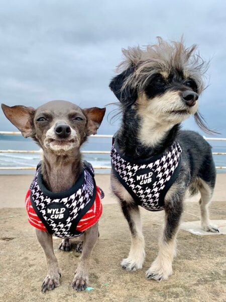 Am Strand (c) Julie Shannon