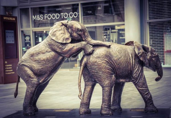 Elefanten Old Spitalfields Market Gillie and Marc Sheldrick Elefantenkinder