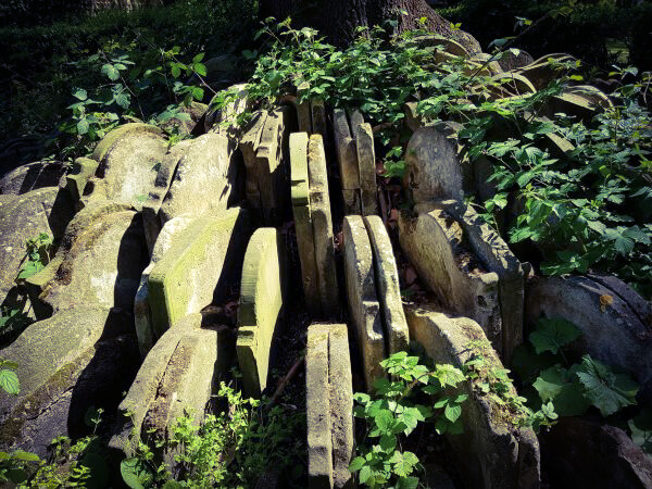 Der Hardy Tree – Grabsteine rund um einen Baum