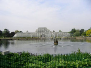 Das neu renovierte Gewächshaus in Kew Gardens steht auf der London Bucket List für 2019