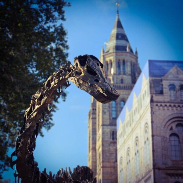 London 2024 Dim Sum Cocktails Opium China Town
