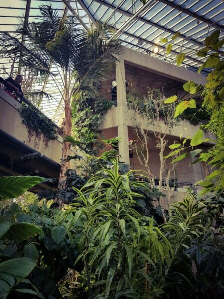 London Barbican Conservatory Gewächshaus Pflanzen Brutalismus Hidden Gem Geheimtipp