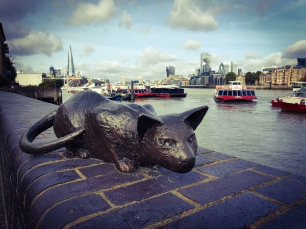 London Bermondsey Dr Satlers Daydream Katze Skyline London