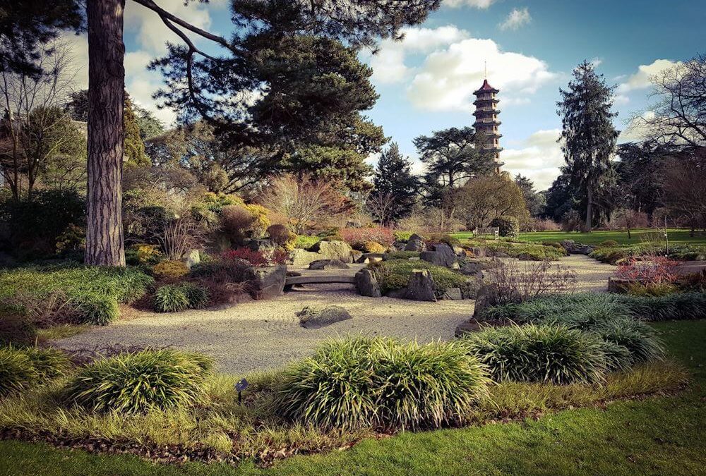 London Botanischer Garten Kew Gardens Chinesische Great Pagoda Wald Ahorn