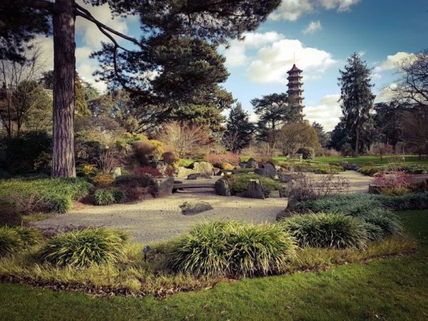 London Botanischer Garten Kew Gardens Chinesische Great Pagoda Wald Ahorn