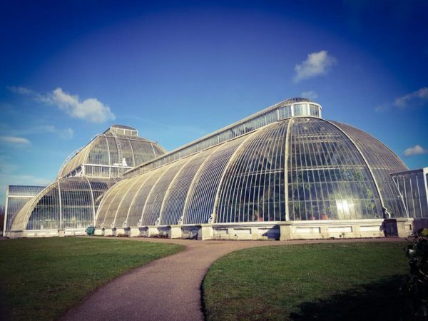 London Botanischer Garten Kew Gardens Palmenhaus