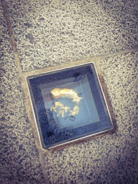 London Covent Garden Mercers's Treasure Walk Sheep and lambs