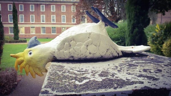 London Greenwich Monty Python Parrot