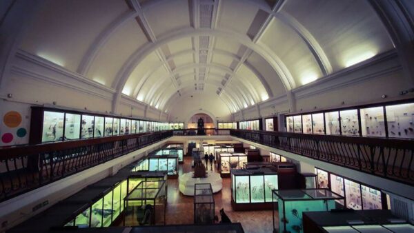 London Horniman Museum Gallerie