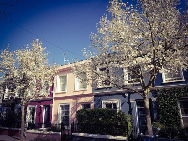 London Kirschblüte Notting Hill bunte Häuser