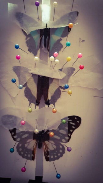 London Month of the dead Taxidermie Workshop Schmetterlinge