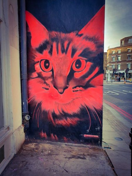 London Street Art Shoreditch Pink Neon David Speed Katze Cat