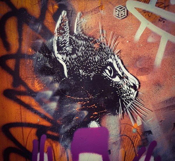 London Street Artist Christian Guémy C215 head of cat