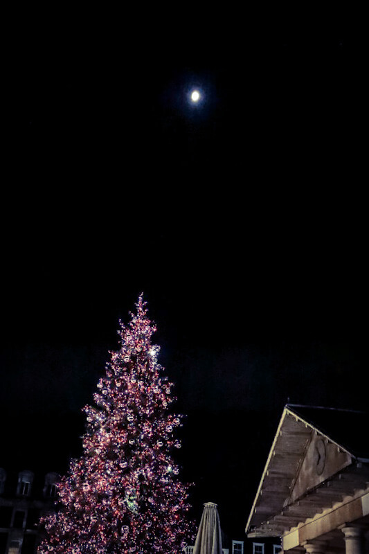 London Weihnachtsbeleuchtung Covent Garden Tannenbaum Vollmond