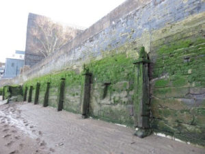 Mudlarking Mauer Algen Wasserstand