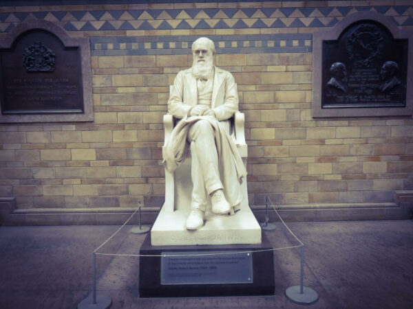 Natural History Musem London Charles Darwin Statue