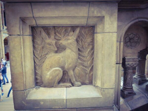 Natural History Musem London Detail Treppe Hase