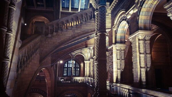 Natural History Musem London Treppen Säulen innen