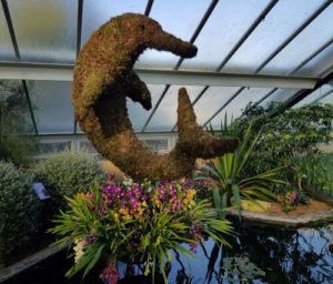 Orchid Festival Kew Gardens London Fountain dolphin