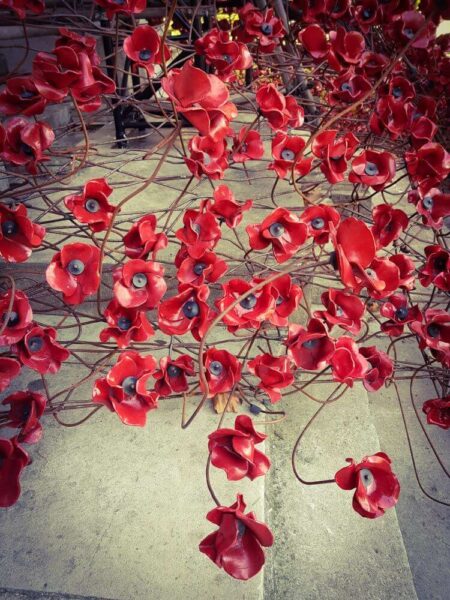 Remembrance Day 11.November Gedenktag UK Kriegsgefallene Imperial War Museum Weeping Window Poppy