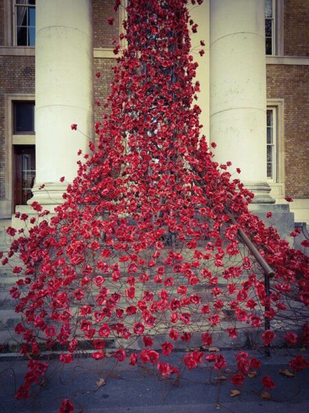 Remembrance Day 11.November Gedenktag UK Kriegsgefallene Imperial War Museum Weeping Window Poppy Installation