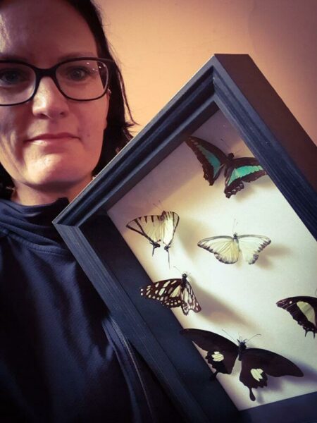 Simone Taxidermie Schmetterlinge London Month of the Dead