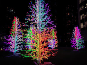 Weihachtsbeleuchtung Carnary Wharf Winter Lights Bäume
