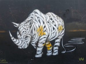 Rhino by Otto Schade