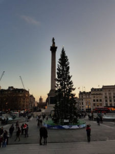 London's tallest Christmas tree at Trafalgar Square