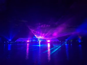 The lasershow at the Palm House in Kew Gardens was my personal highlight at Christmas at Kew
