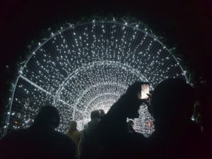 Not only music and laser but also a light tunnel at Christmas at Kew