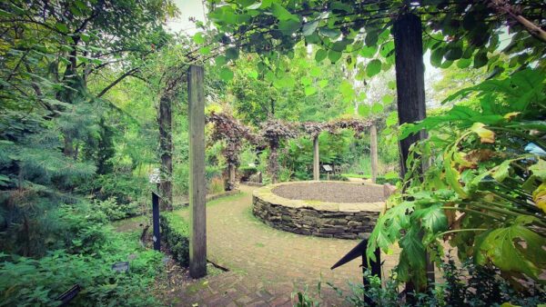 London Chelsea Physic Garden Weg